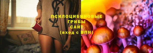 соль курить ск Абаза